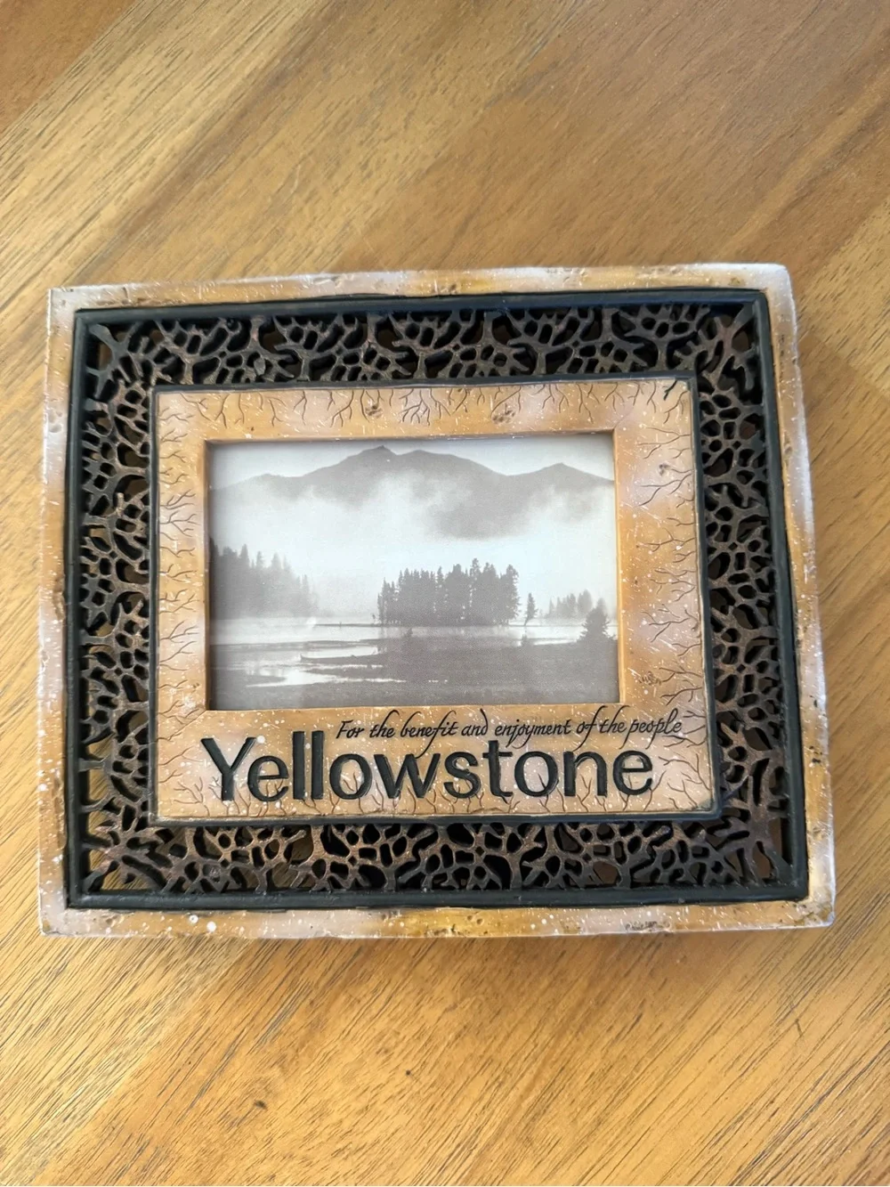 Yellowstone Decorative Picture Frame — Brown and Black Ornate Design